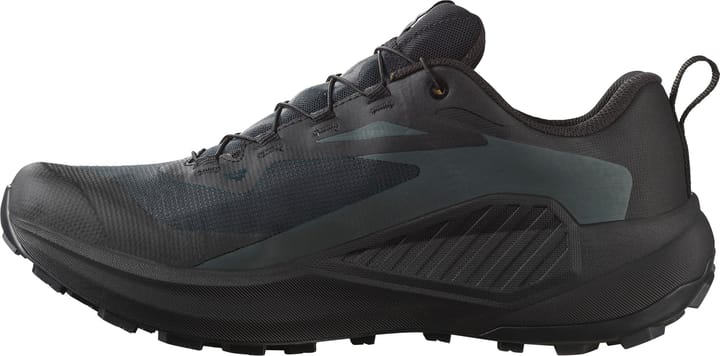 Salomon Men's Genesis GORE-TEX Black/Agave Green/Urban Chic Salomon