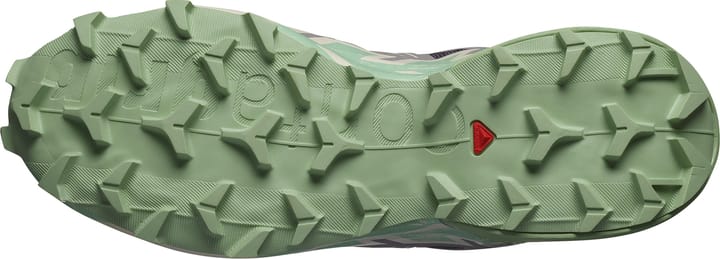 Salomon Women's Speedcross 6 Castlerock/Vanilla Ice/Smoke Green Salomon