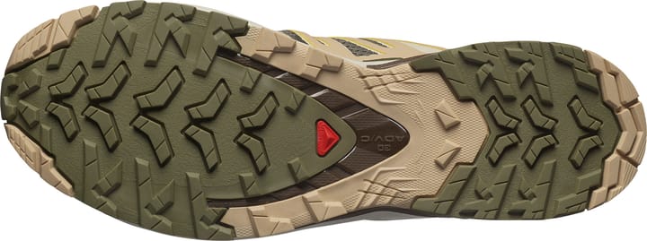 Salomon Men's XA Pro 3D V9 Deep Lichen Green / Safari / Dark Earth Salomon Salomon Men's XA Pro 3D V9 Deep Lichen Green / Safari / Dark Earth Salomon