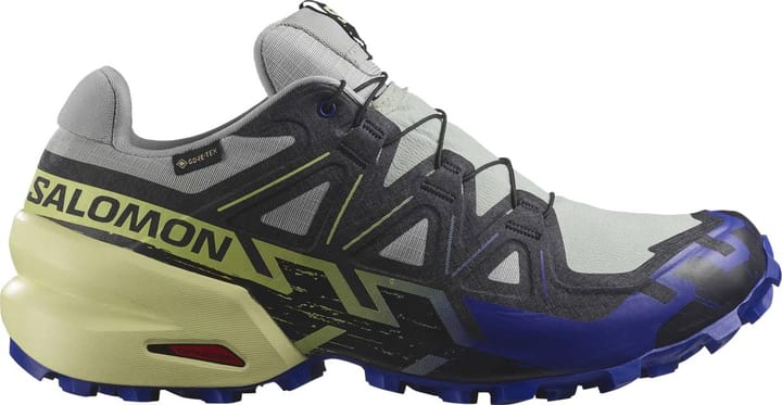Salomon Men's Speedcross 6 GORE-TEX Wrought Iron / Clematis Blue / Sharp Green Salomon