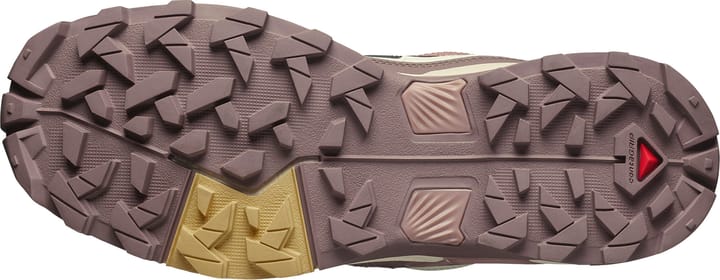 Salomon Women's X Ultra 5 GORE-TEX Burlwood/french Roast/rattan Salomon