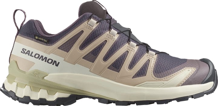 Salomon Women's XA Pro 3d V9 GORE-TEX Nine Iron/oxford Tan/alfalfa Salomon