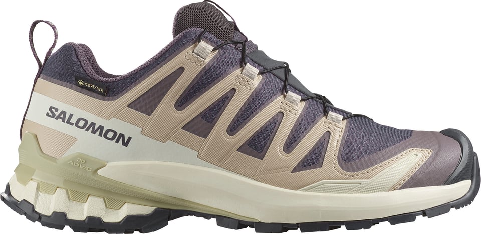 Women's XA Pro 3d V9 GORE-TEX