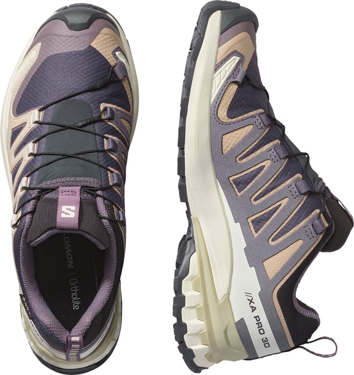 Salomon Women's XA Pro 3d V9 GORE-TEX Nine Iron/oxford Tan/alfalfa Salomon