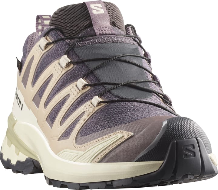 Salomon Women's XA Pro 3d V9 GORE-TEX Nine Iron/oxford Tan/alfalfa Salomon