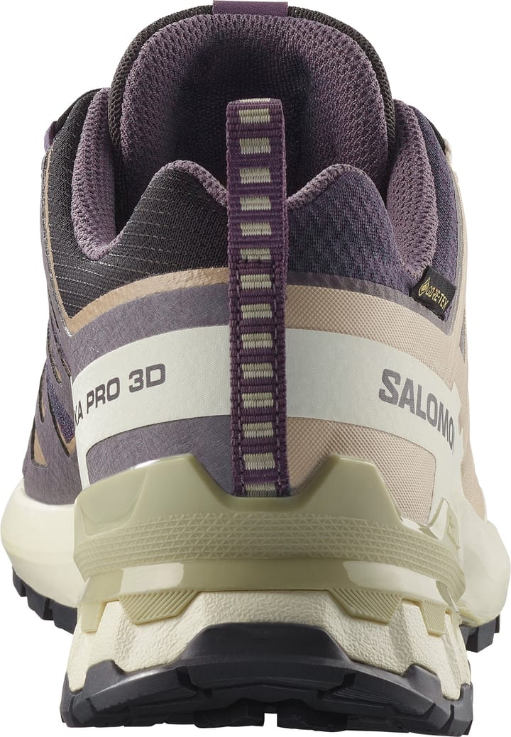 Salomon Women's XA Pro 3d V9 GORE-TEX Nine Iron/oxford Tan/alfalfa Salomon