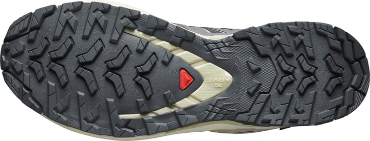 Salomon Women's XA Pro 3d V9 GORE-TEX Nine Iron/oxford Tan/alfalfa Salomon