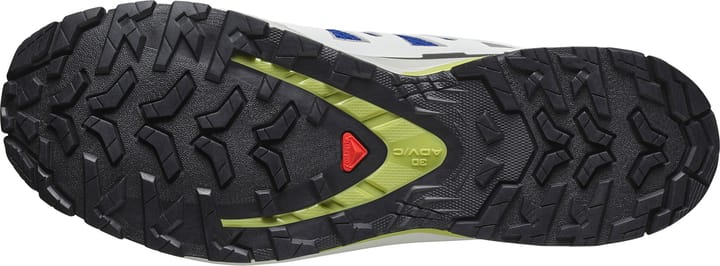 Salomon Men's XA Pro 3D V9 Nautical Blue/alloy/dark Citron Salomon