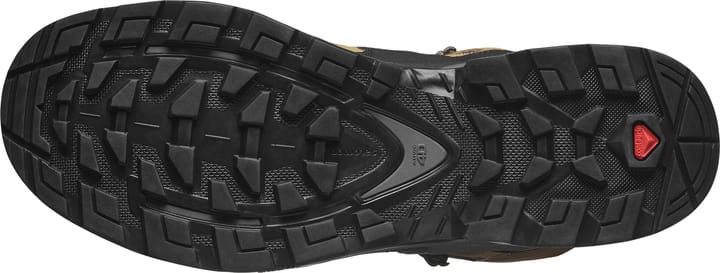 Salomon Men's Quest 4 GORE-TEX Kelp/black/castlerock Salomon
