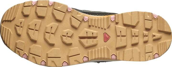 Salomon Women's Techamphibian 5 Peat/rainy Day/hyma Pink Salomon