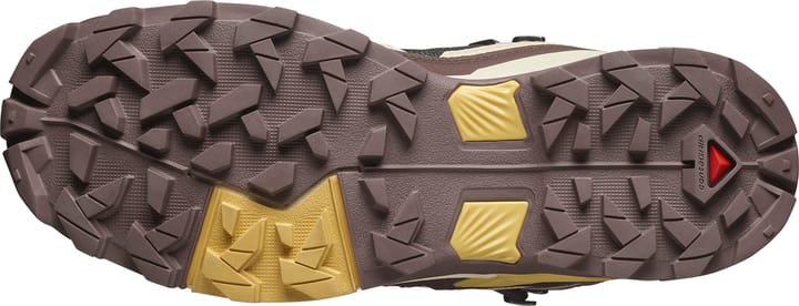 Salomon Women's X Ultra 5 Mid GORE-TEX Burlwood/french Roast/rattan Salomon