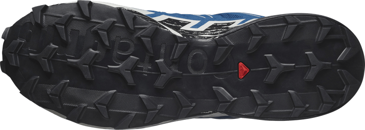 Salomon Men's Speedcross 6 GORE-TEX Poseidon/black/lunar Rock Salomon