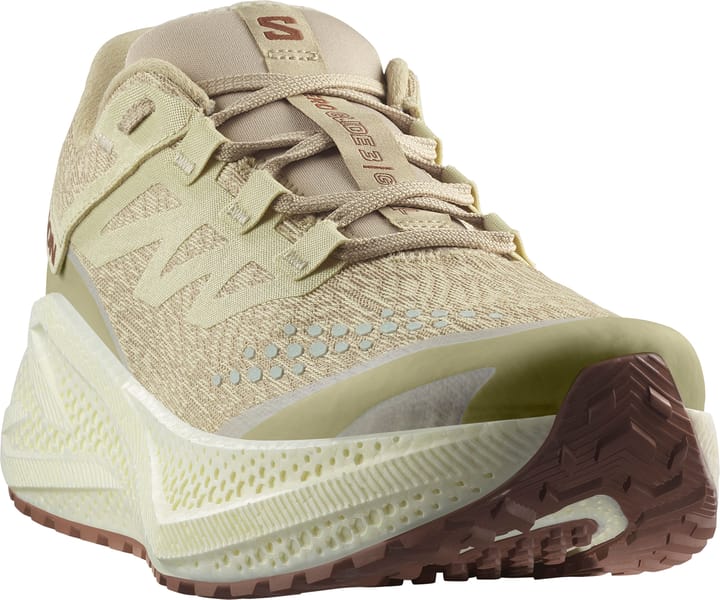 Salomon Men's Aero Glide 3 Grvl Green Haze/vanilla Ice/russet Salomon