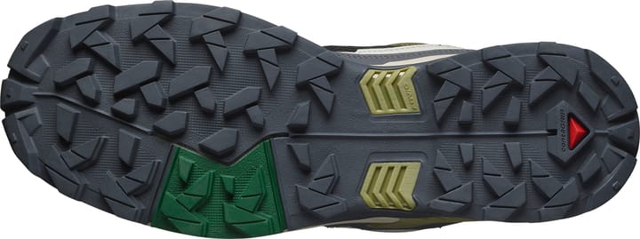 Salomon Men's X Ultra 5 Aloe/asphalt/eden Salomon