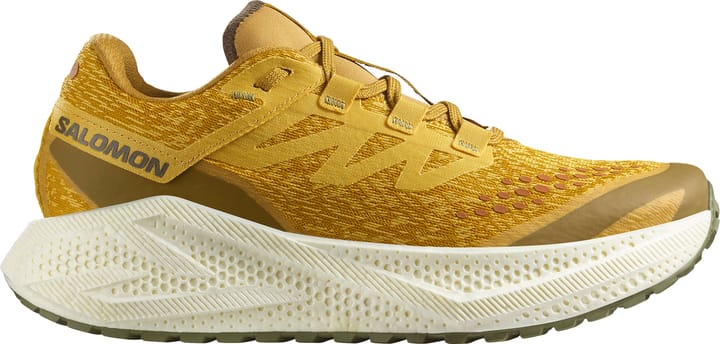 Salomon Men's Aero Glide 3 Grvl Spicy Mustard/vanilla Ice/deep Lich Salomon
