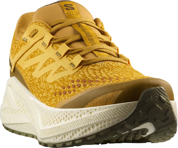 Salomon Men's Aero Glide 3 Grvl Spicy Mustard/vanilla Ice/deep Lich Salomon