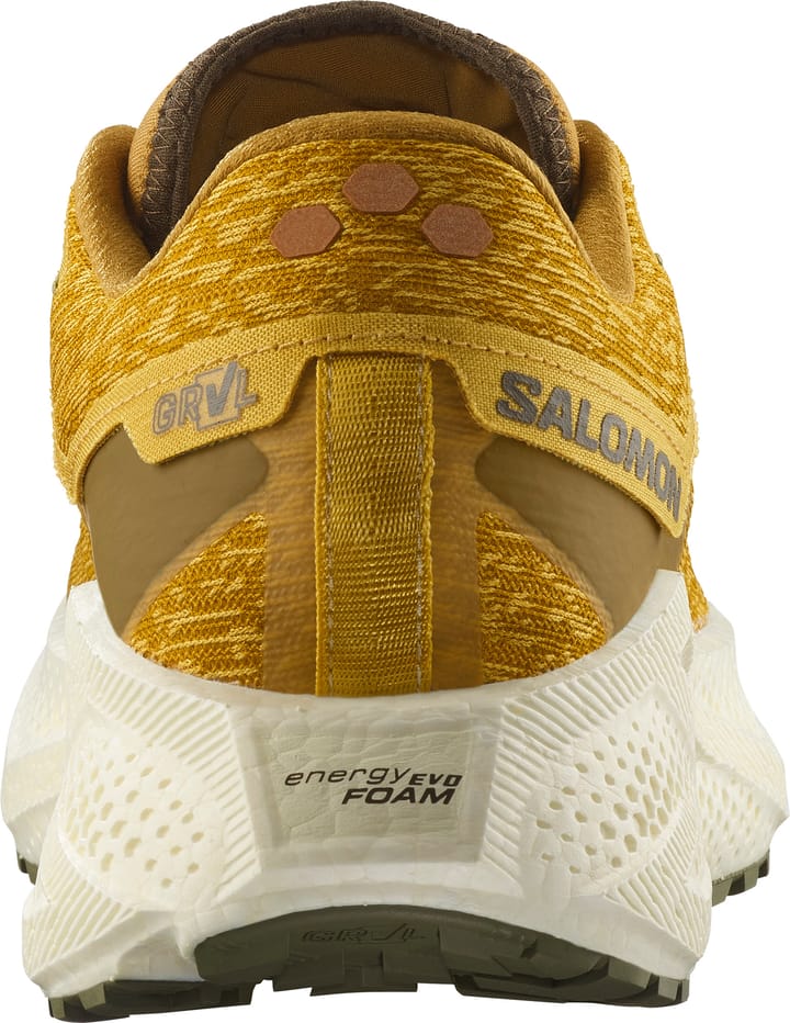 Salomon Men's Aero Glide 3 Grvl Spicy Mustard/vanilla Ice/deep Lich Salomon