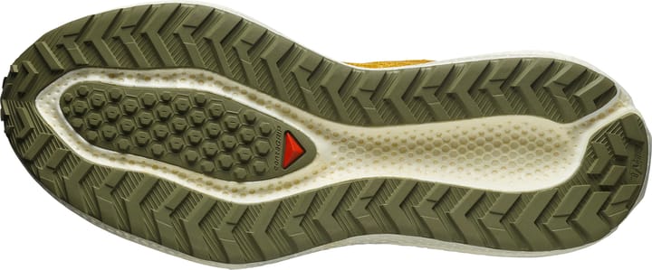 Salomon Men's Aero Glide 3 Grvl Spicy Mustard/vanilla Ice/deep Lich Salomon