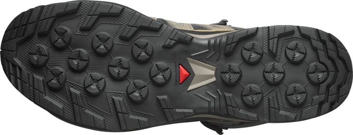 Salomon Men's X-Adventure Recon Mid GORE-TEX Asphalt/falcon/coyote Brown Salomon