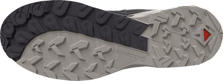 Salomon Women's X Ultra Alpine GORE-TEX Aloe/nine Iron/rouge Red Salomon