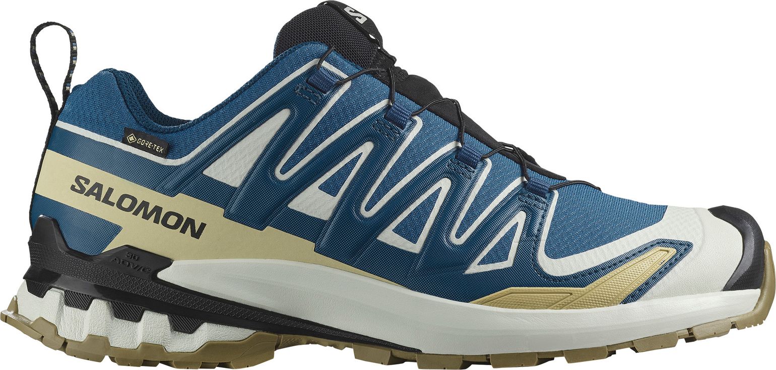 Salomon Men's XA 3D Pro V9 GORE-TEX Dark Blue/icicle/aloe