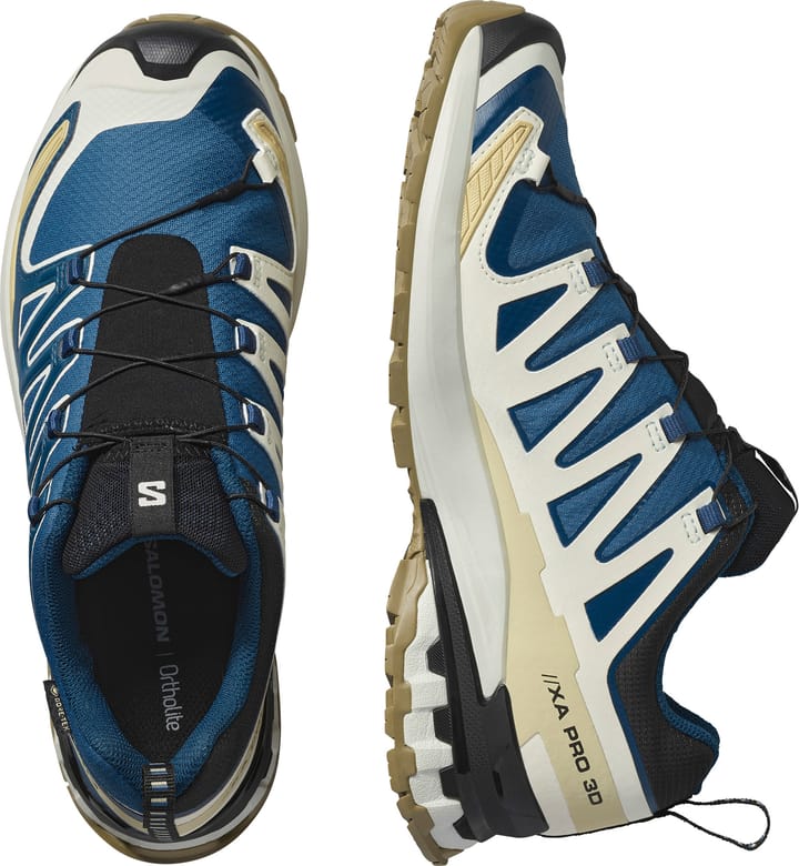 Salomon Men's XA 3D Pro V9 GORE-TEX Dark Blue/icicle/aloe Salomon