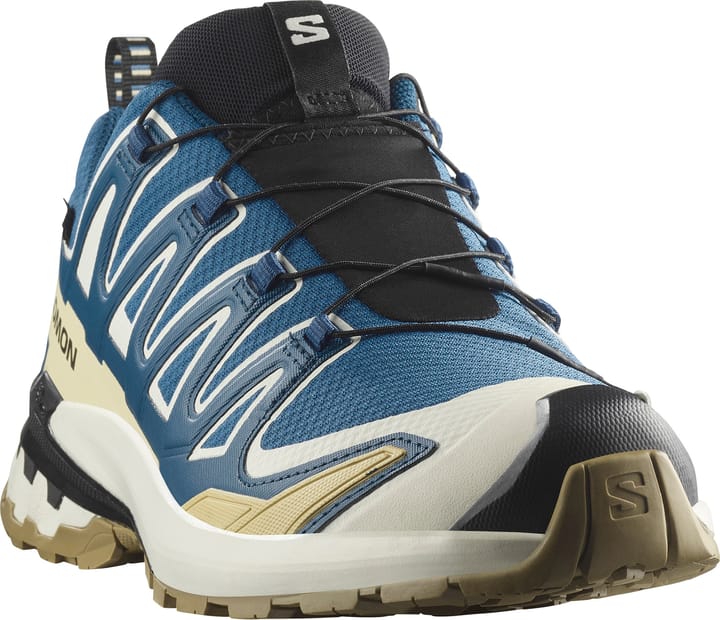 Salomon Men's XA 3D Pro V9 GORE-TEX Dark Blue/icicle/aloe Salomon