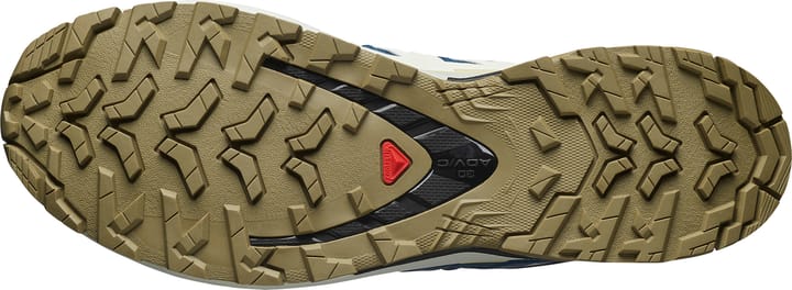 Salomon Men's XA 3D Pro V9 GORE-TEX Dark Blue/icicle/aloe Salomon