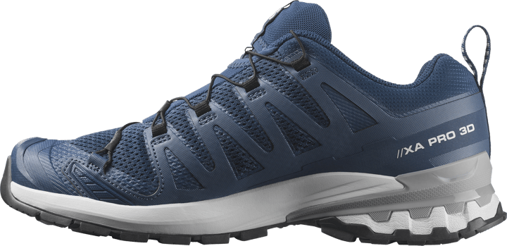 Salomon Men's XA Pro 3D V9 Poseidon/icicle/alloy Salomon