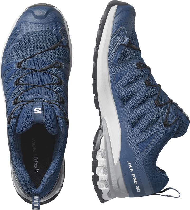 Salomon Men's XA Pro 3D V9 Poseidon/icicle/alloy Salomon