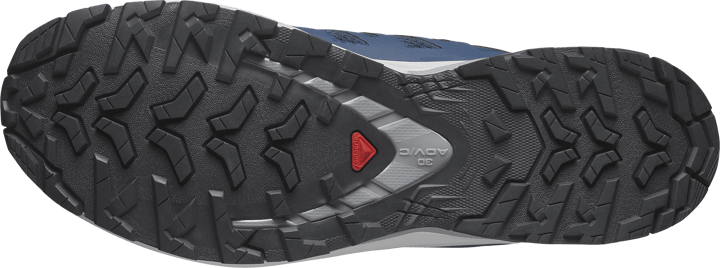 Salomon Men's XA Pro 3D V9 Poseidon/icicle/alloy Salomon