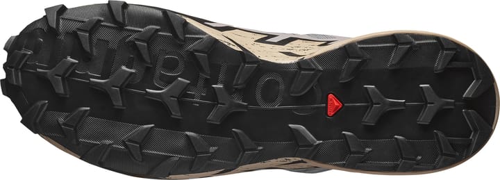 Salomon Men's Speedcross 6 GORE-TEX Gull/White Pepper/Black Salomon