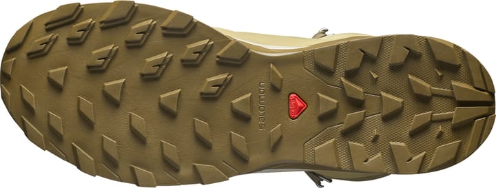 Salomon Men's Outsnap CSWP Aloe/Stone Gray/Coyote Brown Salomon
