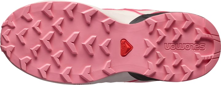 Salomon Junior Speedcross Waterproof Grisaille/Hushed Violet/Rouge Red Salomon