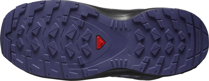 Salomon Xa Pro V8 Mid Waterproof Turbulence / Black / Liberty Salomon