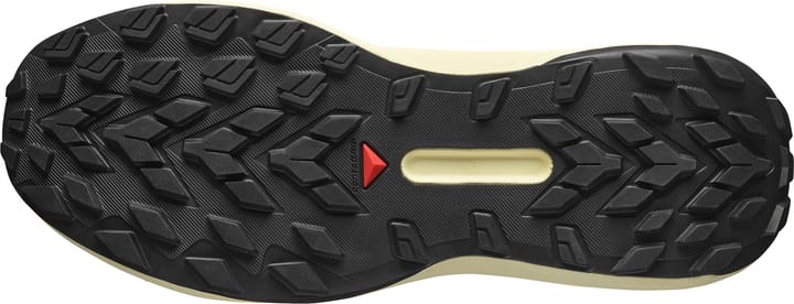 Salomon Men's Genesis Transparent Yellow / Black / Willowherb Salomon