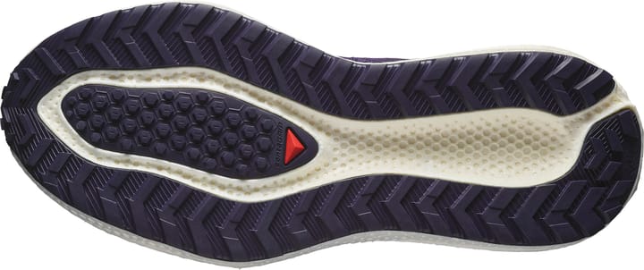 Salomon Men's Aero Glide 3 Grvl Astral Aura/Vanilla Ice/Haute Red Salomon