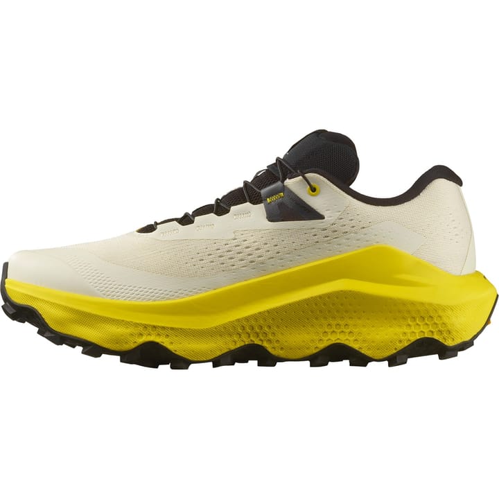 Salomon Men's Ultra Glide 3 Almond Milk/Incaberry/Black Salomon