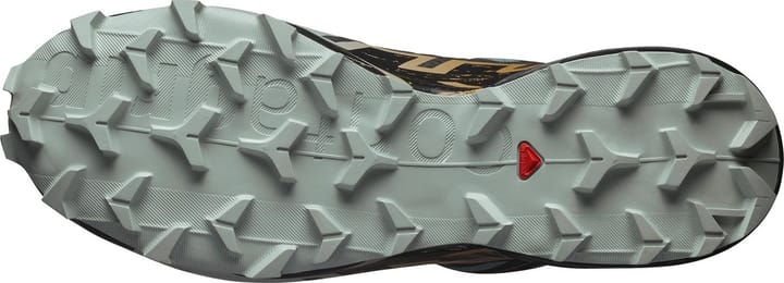 Salomon Men's Speedcross 6 GORE-TEX Trooper / Black / Wood Thrush Salomon