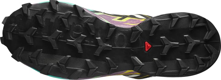 Salomon Women's Speedcross 6 GORE-TEX Transparent Yellow/Black/Waterfall Salomon