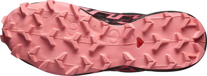 Salomon Women's Speedcross 6 GORE-TEX Nine Iron/Black/Flamingo Pink Salomon