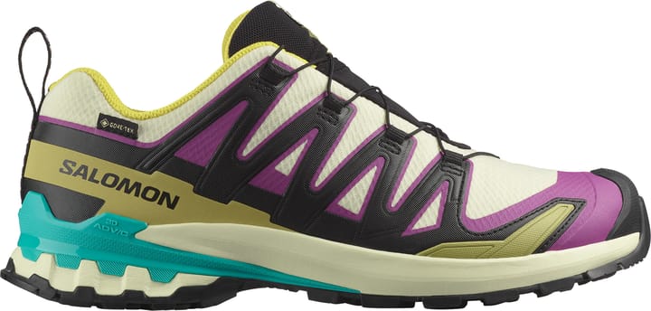 Salomon Men's XA 3D Pro V9 GORE-TEX Transparent Yellow/Black/Waterfall Salomon