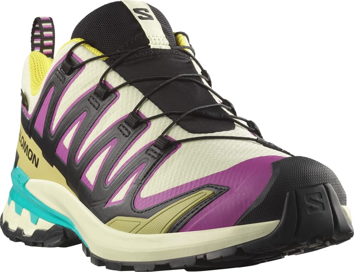 Salomon Men's XA 3D Pro V9 GORE-TEX Transparent Yellow/Black/Waterfall Salomon