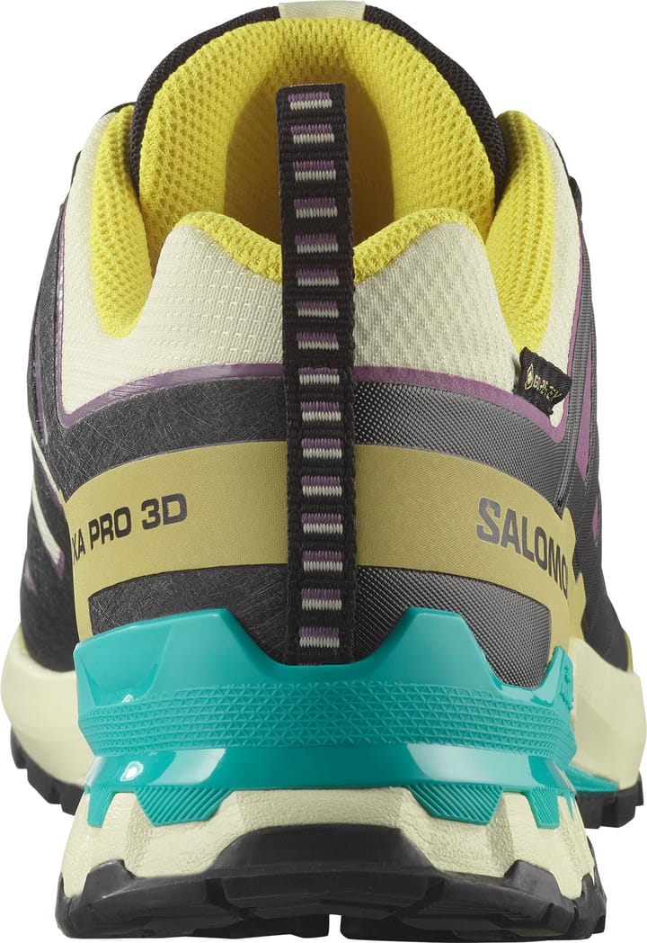 Salomon Men's XA 3D Pro V9 GORE-TEX Transparent Yellow/Black/Waterfall Salomon