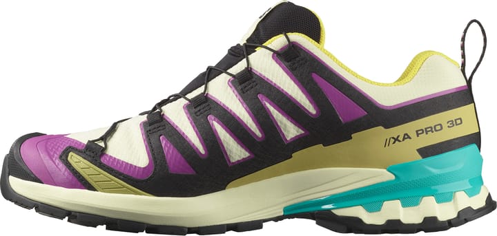 Salomon Men's XA 3D Pro V9 GORE-TEX Transparent Yellow/Black/Waterfall Salomon