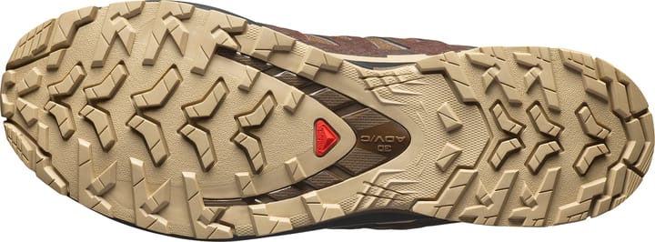 Salomon Men's XA 3D Pro V9 GORE-TEX Dark Earth/Desert Tan/Black Salomon