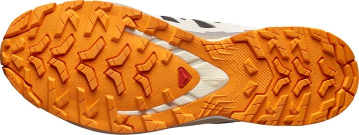 Salomon Men's XA 3D Pro V9 GORE-TEX Black/Vanilla Ice/Turmeric Salomon