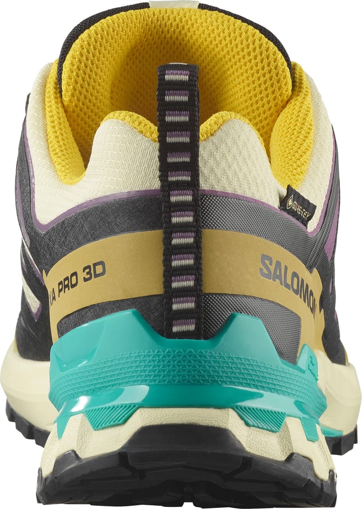 Salomon Women's XA Pro 3d V9 GORE-TEX Transparent Yellow/Black / Waterfall Salomon