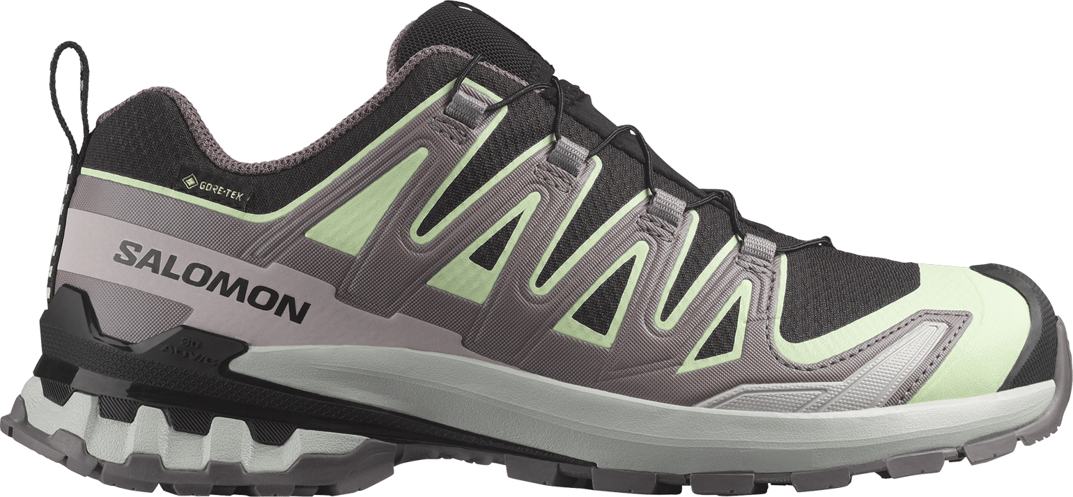 Salomon Women's XA Pro 3d V9 GORE-TEX Black/Patina Green/Gray Violet