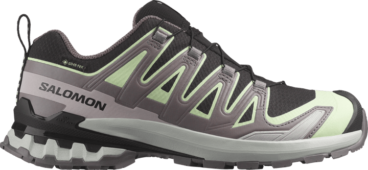 Salomon Women's XA Pro 3d V9 GORE-TEX Black/Patina Green/Gray Violet Salomon